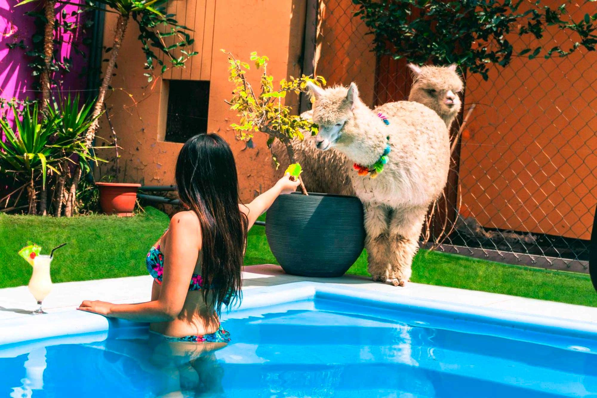 Piscina — HC Rivero Hotel, Arequipa