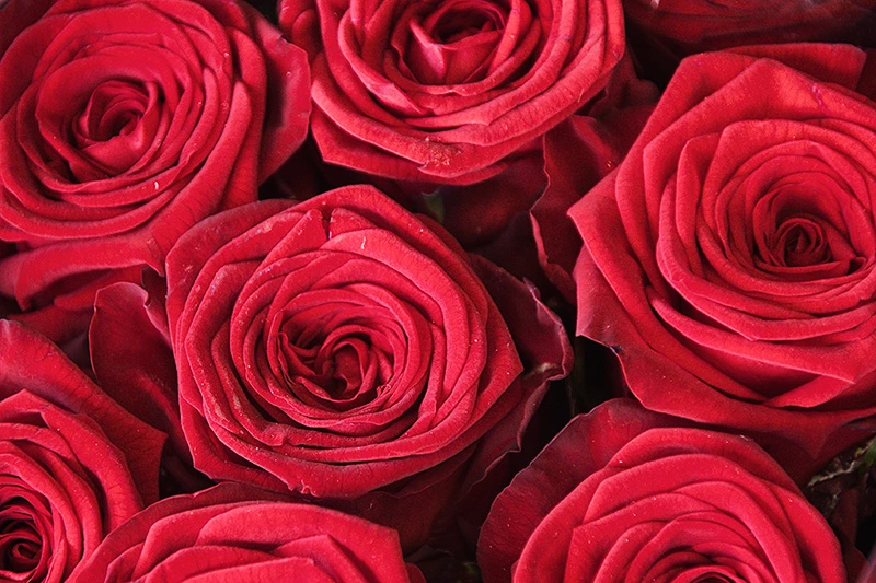 Suite Romántica — HC Rivero Hotel